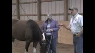 Horse Massage Jim Masterson explains Search Response Stay Release [upl. by Nathalie]