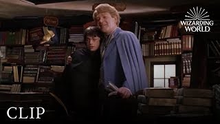 Gilderoy Lockhart  Harry Potter and the Chamber of Secrets [upl. by Winterbottom700]