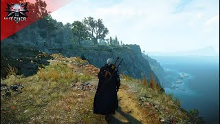 The Witcher 3  Music amp Ambience  Walking through beautiful island of Skellige [upl. by Yeleak]