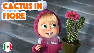 Le Canzoni Di Masha 🇲🇽 Cactus in fiore 🌵🌺 Episodio 8💥 Masha e Orso [upl. by Spear]