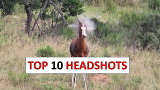 10 Insane Hunting Headshots [upl. by Hanikehs]