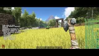 Ark survival evolved TUTO comment utiliser commandes admin how use admin commands [upl. by Lenni885]