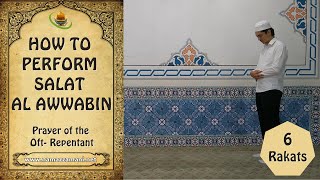 How to perform Salat al Awwabin Prayer of the Oft Repentant [upl. by Eornom349]