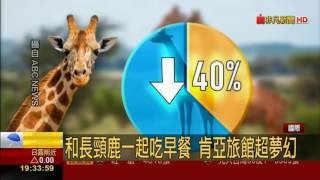 肯亞長頸鹿莊園Giraffe Manor 和長頸鹿一起早餐 加拿大神秘的球狀樹屋旅館 [upl. by Madaih]