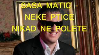 Sasa Matic  Neke ptice nikad ne polete [upl. by Cupo]