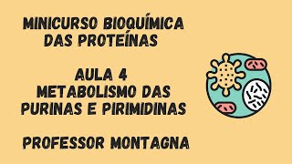 AULA 4  MINI CURSO BIOQUÍMICA DAS PROTEÍNAS  PURINAS E PIRIMIDINAS PROFESSOR MONTAGNA [upl. by Lombard]