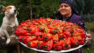 From Garden to Plate  Traditional Stuffed Bell Peppers [upl. by Ferdie]