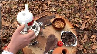 Preparing Organic Samovar Tea in Nature [upl. by Jarlen]