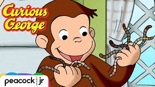 Georges Wiggly Worm Race  CURIOUS GEORGE [upl. by Nairolf]