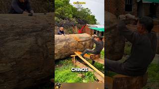 ¡IMPRESIONANTE TRANSFORMACIÓN De un árbol gigante a un lujo tallado en madera [upl. by Chamberlin695]