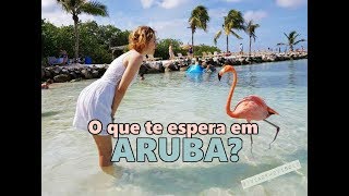 O que fazer em Aruba a melhor ilha do Caribe  viagem em agosto de 2017 [upl. by Kasey]