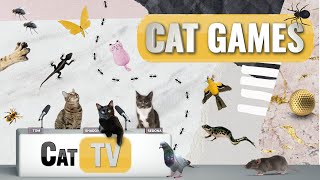 Cat Games  Ultimate Cat TV Compilation Vol 14  2 HOURS 🐱📺🐇🕷️🏀🎣🎈🦜🐜🐭🧵🐝🐞🦋🦎 [upl. by Sinnej]