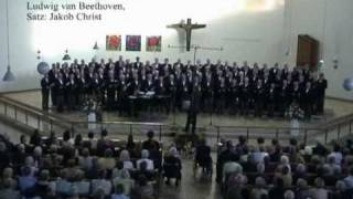 Die Himmel rühmen  Männerchor Liederkranz HeidelbergRohrbach [upl. by Hansen512]