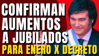 ✅Jubilados y Pensionados 2024💥El GOBIERNO de MILEI AUMETARÁ en Enero Las Jubilaciones❗ [upl. by Tori]