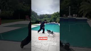 Robot anjing senilai 100000 ishowspeed shorts feedshorts ishospeed robot [upl. by Anhavas824]