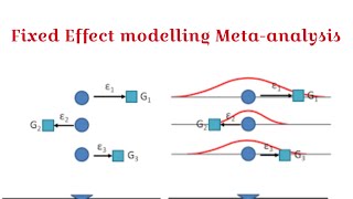 Fixed effect modelling Metaanalysis  Worked Examples [upl. by Harrow]