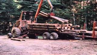 Sustainable Forest Pt 4  Low Impact Logging Equipment  2nd growth Forest  Bob Woods 16X9 [upl. by Louanna]