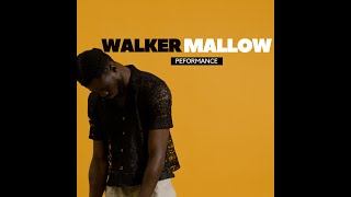 THE SPACE  Walker Mallow  Night in Silence PERFORMANCE [upl. by Sethrida]