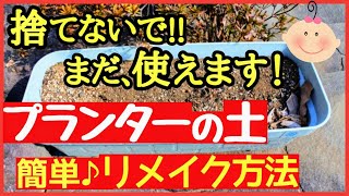 【知らなきゃ損！】プランターの土は誰でも簡単に再生できる♪おいしい野菜を作る最強のリサイクル方法～初心者・家庭菜園～ [upl. by Lopez]