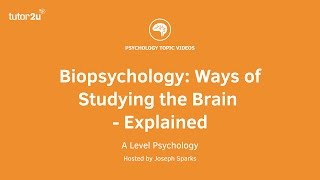 Biopsychology  AI 2022 Question Walkthrough  AQA ALevel Psychology [upl. by Edrahc]