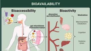 Biopharmaceutics and pharmacokinetics Bioavailability lec7 [upl. by Lenzi94]