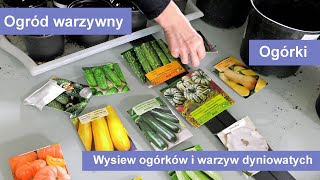 Wysiew ogórków i warzyw dyniowatych Uprawa warzyw w ogrodzie [upl. by Mikaela]