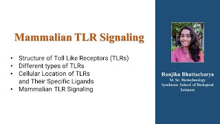 Mammalian TLR Signalling for CSIRNET [upl. by Alodee]