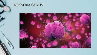 Neisseria genus  Lecture [upl. by Rutter]