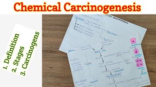 Chemical Carcinogenesis  Carcinogenesis  Neoplasia [upl. by Andreas]