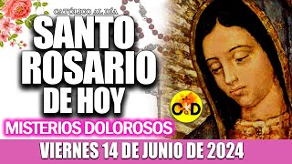 EL SANTO ROSARIO DE HOY VIERNES 14 DE JUNIO de 2024 MISTERIOS DOLOROSOS EL SANTO ROSARIO MARIA [upl. by Eelrehpotsirhc869]