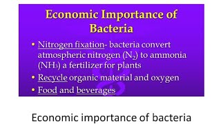 Economic Importance of Bacteria [upl. by Lillis]