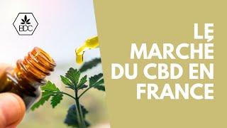 Le marché et la consommation du CBD en France [upl. by Berga]