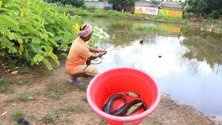 Fishing Video🐠🐬 Fishing skills and patience are among the village boys  Best hook fishing [upl. by Mahgirb]