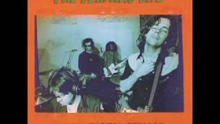 The Flaming Lips Bad Days [upl. by Scuram]