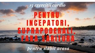 15 exercitii cardio pentru incepatori sau supraponderali fara saritura pentru slabit acasa [upl. by Rimola258]