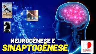 O QUE É NEUROGÊNESE SINAPTOGÊNESE E NEUROPLASTICIDADE [upl. by Anayit630]