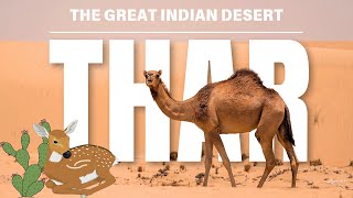 THAR DESERT  थार रेगिस्तान  THE GREAT INDIAN DESERT HINDI 🏜 [upl. by Kryska123]