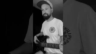 Salirò  Daniele Silvestri BASS COVER [upl. by Eudocia]