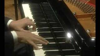 Mozart Piano Concerto No 20 in D Minor I Mov Part A [upl. by Hahsia]