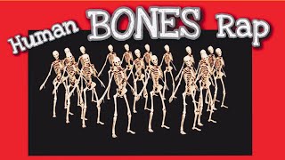 Human Bones Song 🎵  EASY amp FUN Way to Memorize the Bones of the Body FUNdamental RAPS Anatomy [upl. by Gnanmos]