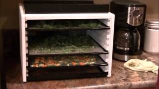 Dehydrating Veggies vs 10 Cans [upl. by Eessej109]