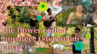 the flower called nowhere stereolab cover song [upl. by Lecia298]