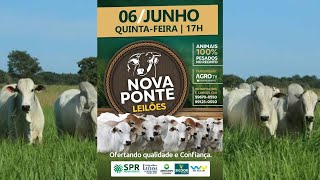 NOVA PONTE LEILÕES AO VIVO  NOVA PONTE MG [upl. by Ehman]