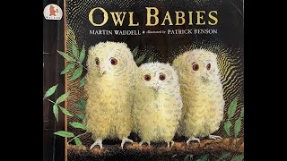 Owl Babies  Give Us A Story [upl. by Bertilla203]