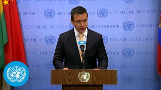 Ecuador on Transnational Organized Crime amp Other Topics  Media Stakeout  UN Security Council [upl. by Shem]