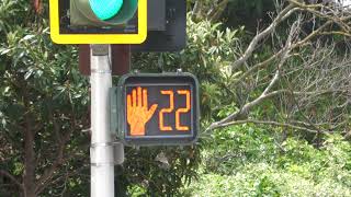 Leotek LED Pedestrian Signal in Concord California [upl. by Dugald]