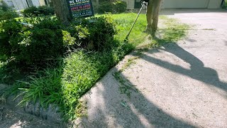 Homeowner Saw my Video so She Cant HARDLY Wait for Me to Take Care of Her Lawn [upl. by Alekin]