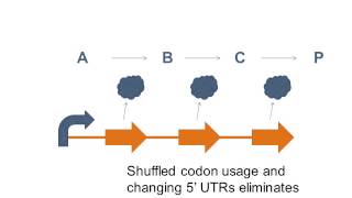 Regulation in Biosynthetic Pathways [upl. by Alper]