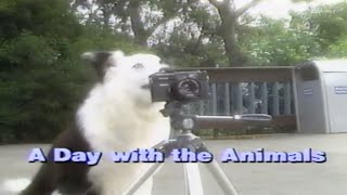 A DAY WITH THE ANIMALS 1986 — KIDSONGS Music Video Stories VHS Rip  VHS Digitization SingAlong [upl. by Ericha45]