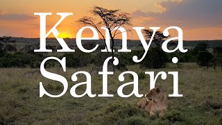 Safari  Kenya [upl. by Neruat]